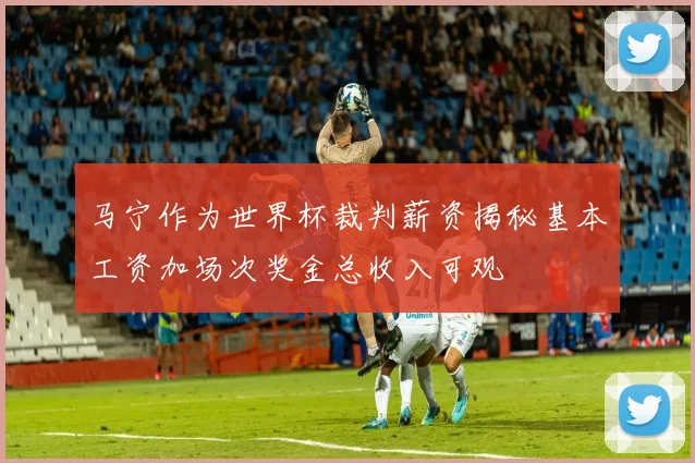 马宁作为世界杯裁判薪资揭秘基本工资加场次奖金总收入可观