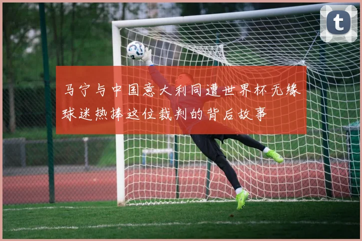 马宁与中国意大利同遭世界杯无缘球迷热捧这位裁判的背后故事