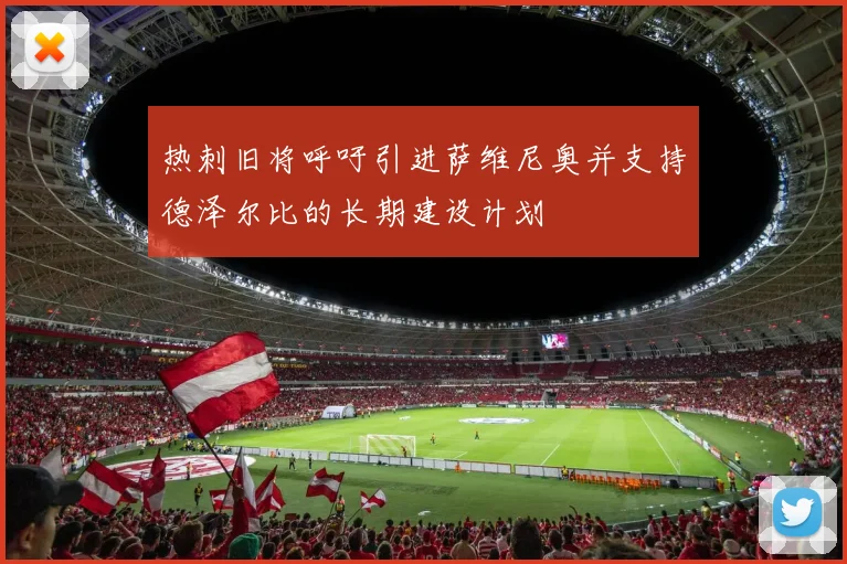 热刺旧将呼吁引进萨维尼奥并支持德泽尔比的长期建设计划